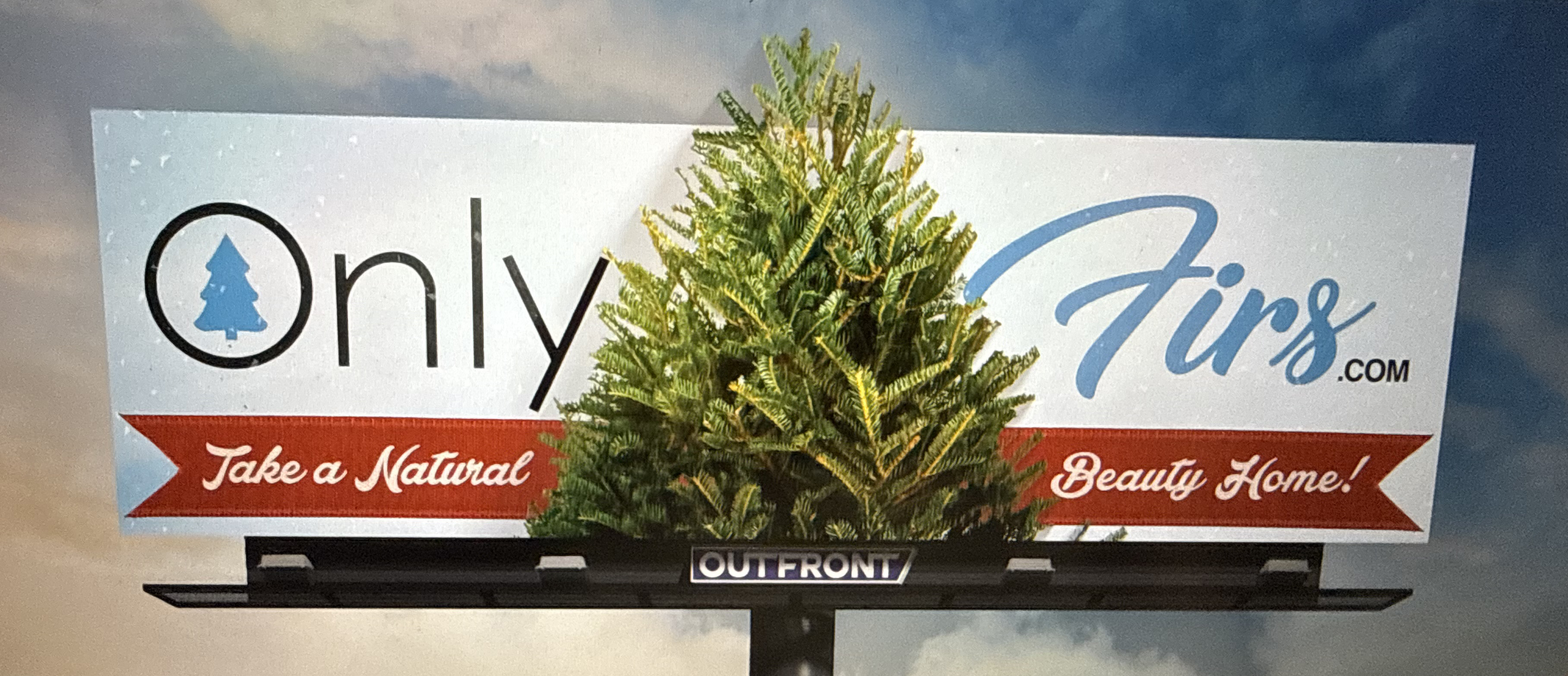 Only Firs - Take a Natural Beauty Home
